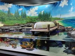 -上海海洋水族馆