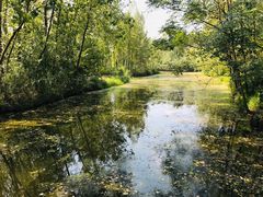 -溱湖国家湿地公园