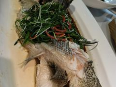 -院里寻菜·精致庭院菜(观沙岭店)