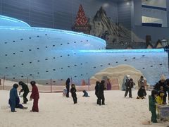 -广州热雪奇迹