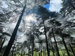 -洛阳白云山景区