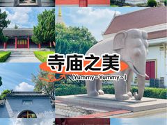 -洛阳白马寺