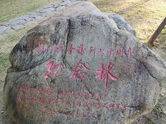 -五通灯塔公园