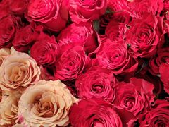 -上海交通大学(闵行校区)