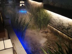 -首秀·四川料理(星耀101店)