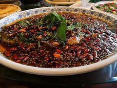 杨记招牌鱼-杨记隆府(时代天街店)