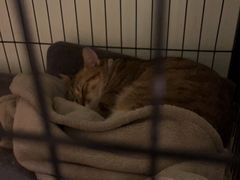 -H立方实景剧情密室(天河旗舰店)