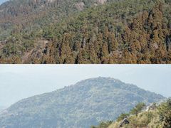 -玉苍山国家森林公园