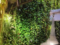 -外婆家(杭州马塍店·杭帮菜名店)