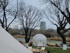 -Supine Bistro溯泮餐厅