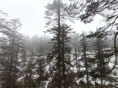 -瓦屋山景区