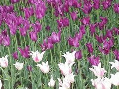 -长春公园(普阳街道)