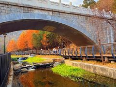 -白水寺森林公园