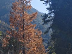 -太湖源风景区