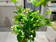 -% Arabica阿拉比卡咖啡(前滩太古里店)