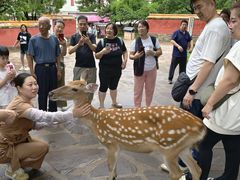-普陀宗乘之庙(小布达拉宫)