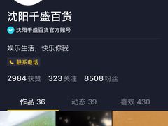 -沈阳大商千盛购物中心有限公司(长江街店)