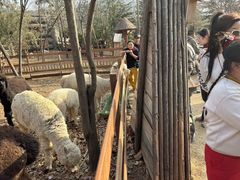 -雪山彩虹谷景区