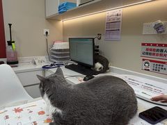 -御宝贝24h宠物医院·转诊中心·CT核磁血透中心(厦门总院)