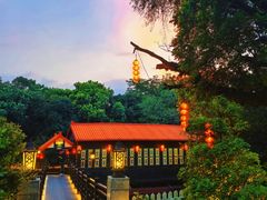 -侨美·唐荔园·40年地道粤菜