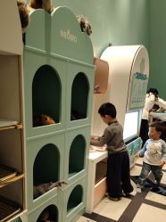 -奈尔宝·儿童乐园·亲子餐厅(苏州大悦城店)