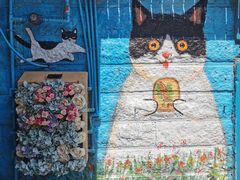 -猫咪博物馆(顶澳仔猫街店)