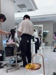 -崇尚GAVIN STYLE臻选