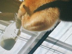 -学习谷日语培训日本留学·多语种外语教学(海淀人大分部)