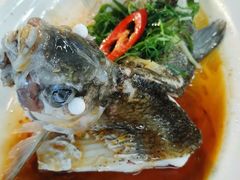 -八仔大富楼·河鲜(西江店)