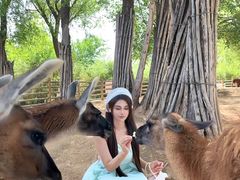 -鄂尔多斯野生动物园