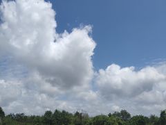 -黄椅山火山森林公园