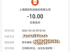 -上海浦东国际机场T1航站楼-P1停车场