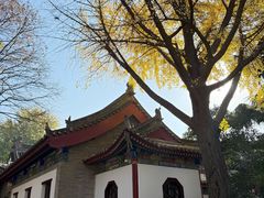 -大慈恩寺(大雁塔)