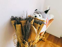 -Husky Go! 哈士奇体验馆·宠物咖啡厅狗咖