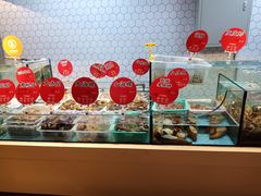 -日进一片海.生腌海鲜火锅.宵夜烧烤(三里屯总店)