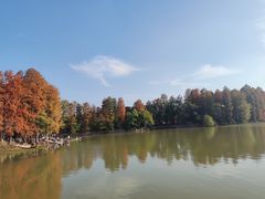 -东湖落雁景区