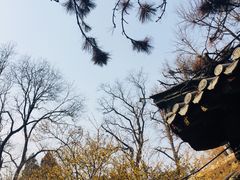 -泰山风景名胜区-普照寺