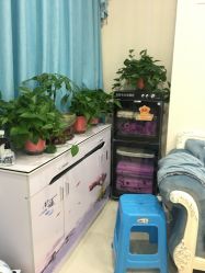 点击看大图 -蓝丝带产后恢复中心(铜梁人民医院店)