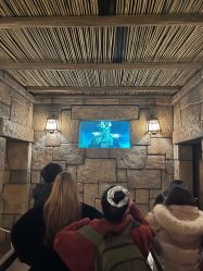 -翱翔飞越地平线