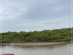 -东寨港红树林旅游区