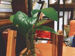 -蜜舍咖啡(洋人街店)