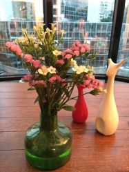 -无界瑜伽普拉提