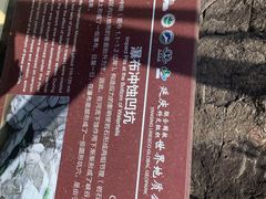 -百里山水画廊乌龙峡谷
