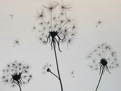 -蒂朵儿童绘画美术教室