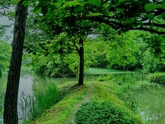 -西溪国家湿地公园