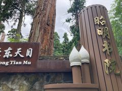 -东天目山风景区