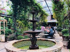 -The Grounds of Alexandria