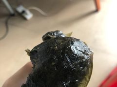 -张家卫·阳江菜·小海鲜(肥婆湾桥店)