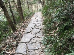 -青龙山国家森林公园