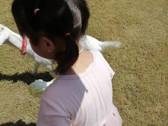 -前小桔亲子创意农场·草莓采摘·露营烧烤